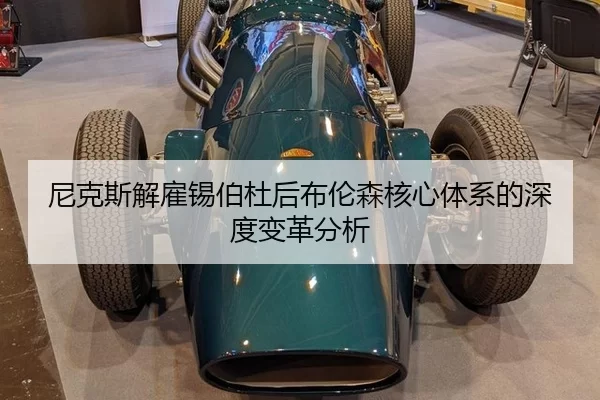 ni-ke-si-jie-gu-xi-bo-du-hou-bu-lun-sen-he-xin-ti-xi-de-shen-du-bian-ge-fen-xi-2-100.jpg