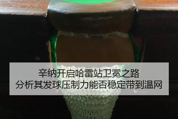 xin-na-kai-qi-ha-lei-zhan-wei-mian-zhi-lu-fen-xi-qi-fa-qiu-ya-zhi-li-neng-fou-wen-ding-dai-dao-wen-wang-2-424.jpg